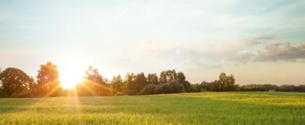 La traiettoria di riduzione della CO2 di Air Liquide entro il 2035 è convalidata dall'iniziativa Science Based Targets (SBTi) .pdf