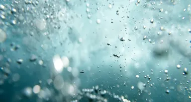 Air Liquide e Siemens Energy insieme per sviluppare elettrolizzatori su larga scala per la produzione sostenibile di idrogeno